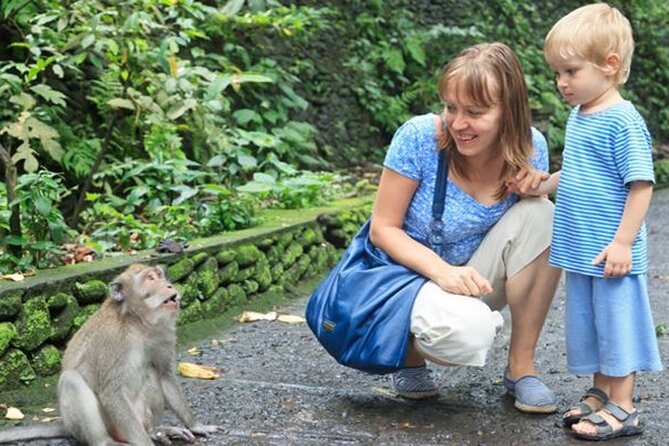 Half Day Private Tour in Ubud - Why Private Transport Matters on a Short Ubud Day