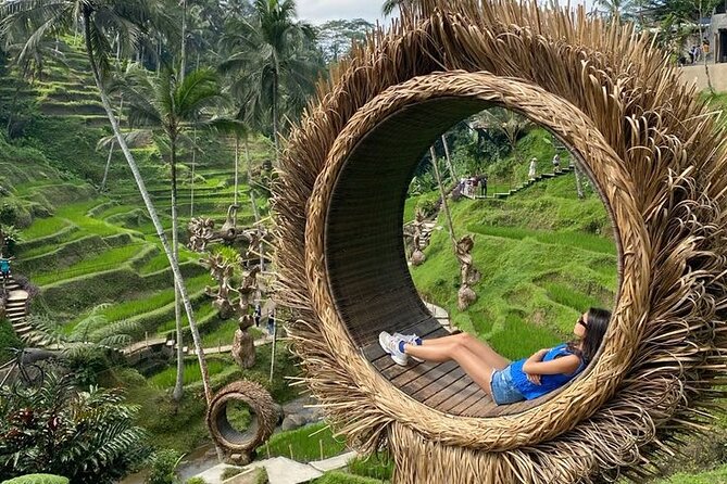 Half Day Private Tour in Ubud - Noon Lunch Break, With the Bill on You