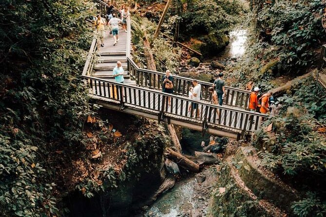 Half Day Private Tour in Ubud - What the Guides Add to the Experience