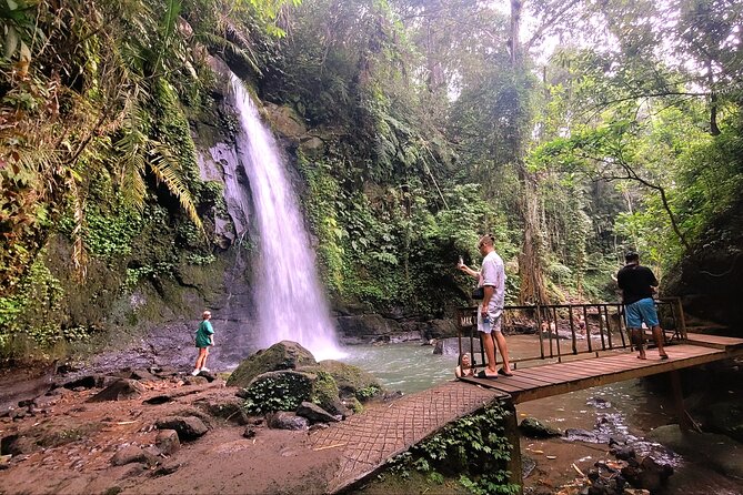 Half Day Tour Ubud Rice Terrace with Activities and Waterfall - Why this short Ubud tour works