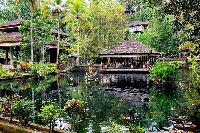 Half Day Tour Ubud Rice Terrace with Activities and Waterfall - Ulu Petanu Waterfall brings a quieter hour
