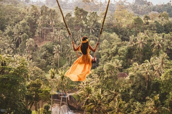 Half Day Tour Ubud Rice Terrace with Activities and Waterfall - The driver-host is central to the experience
