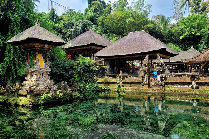 Half Day Tour Ubud Rice Terrace with Activities and Waterfall - Optional stops if the clock allows