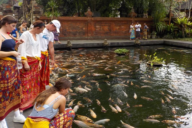 Half-Day Ubud Electric Cycling Tour to Tirta Empul Water Temple - Rice paddies, village roads, and local stops