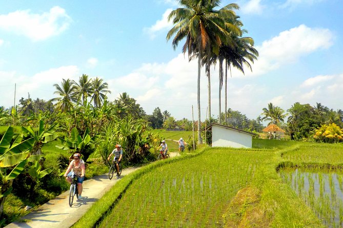 Half-Day Ubud Electric Cycling Tour to Tirta Empul Water Temple - Pickup, timing, and what to bring