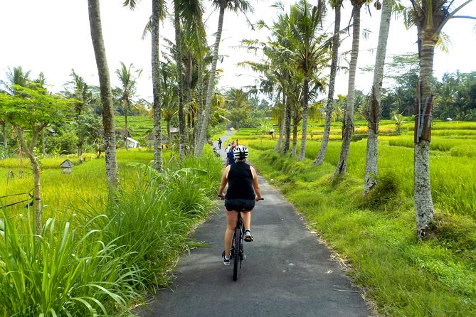 Half-Day Ubud Electric Cycling Tour to Tirta Empul Water Temple - The cycling level: easy with assistance, not effortless