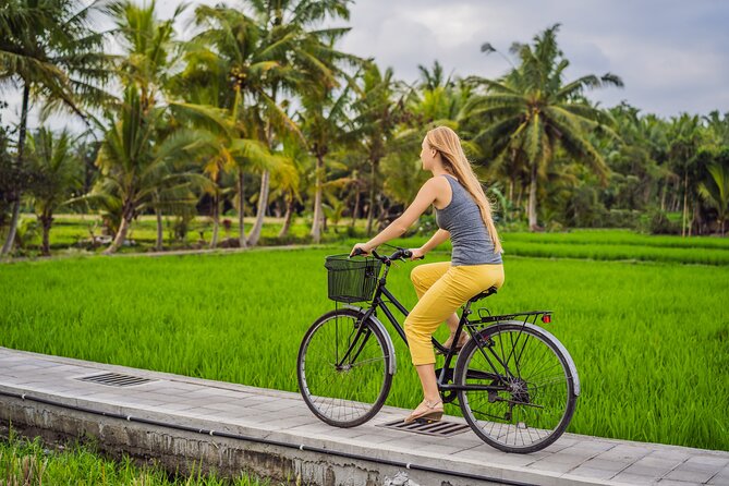 Half-Day Ubud Rice Field and Village Cycling Tour - Key points at a glance