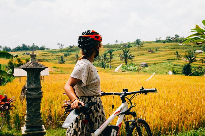 Half-Day Ubud Rice Field and Village Cycling Tour - The early transfer to Kintamani