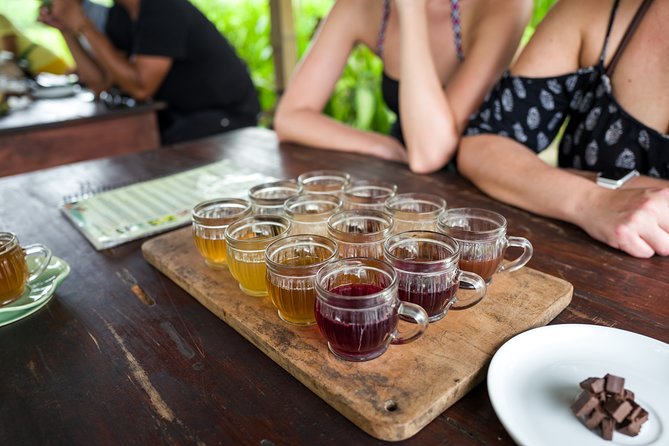 Half-Day Ubud Rice Field and Village Cycling Tour - Pedaling through rice terraces and country tracks