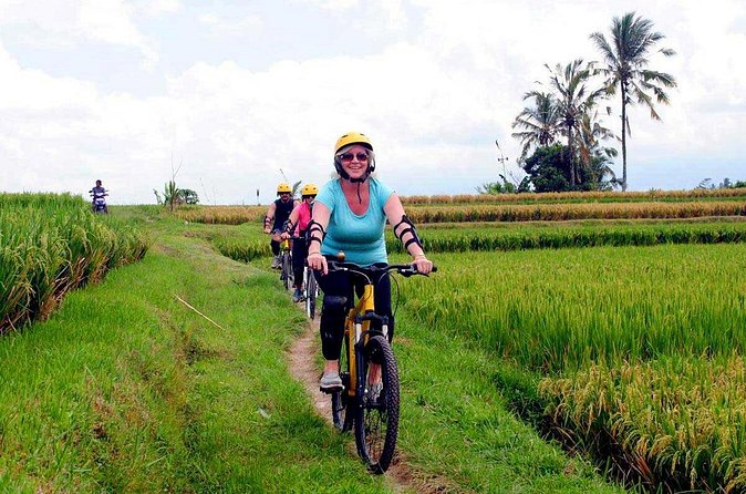 Half-Day Ubud Rice Field and Village Cycling Tour - Balinese compounds, farms, and local culture