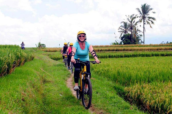 Half-Day Ubud Rice Field and Village Cycling Tour - Guides make or break the experience