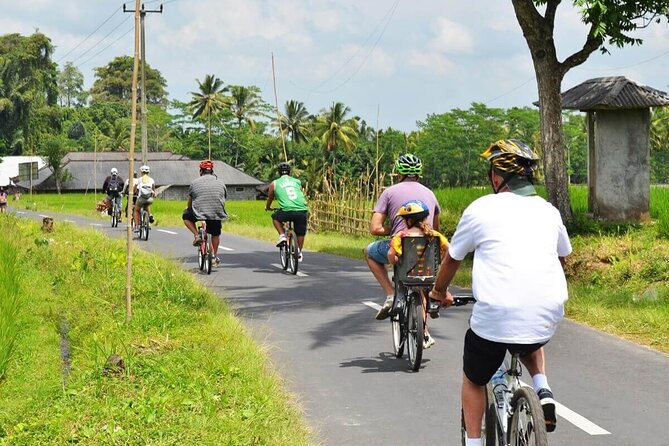 Half-Day Ubud Rice Field and Village Cycling Tour - Getting fitted with a bike and safety gear