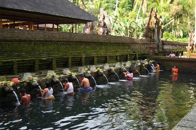 Half Day Ubud Tour - Private Guided Tour - Tegenungan Waterfall in 45 minutes