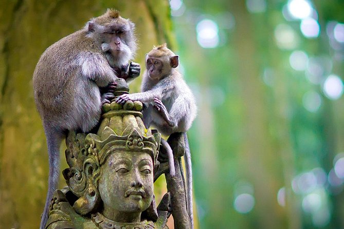 Half Day Ubud Tour: Ubud Unique Spots - The guides can shape the whole afternoon