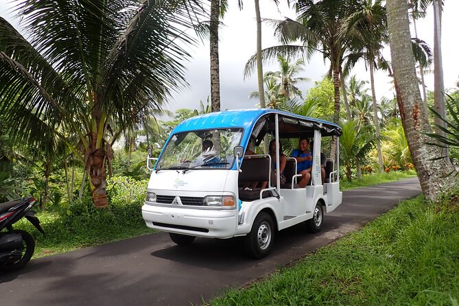 Half Day Ubud Waterfall Tour - Key points at a glance