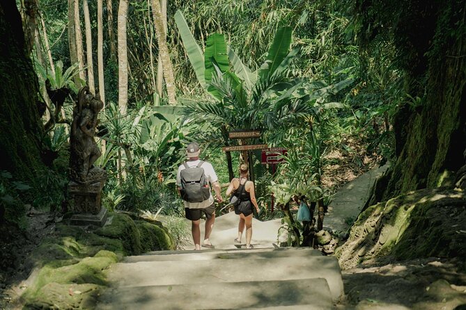 Half Day Ubud Waterfall Tour - Starting at 10:00 in central Ubud