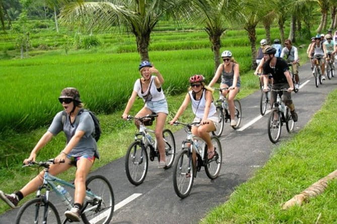 Halo Bike Cycling Tour Downhill - Breakfast and the first rural views