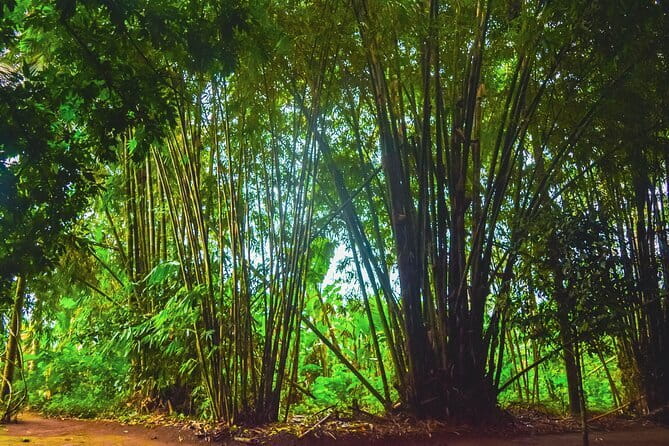 Highlight of Bali Tour - What This Bali Day Tour Is Really Like