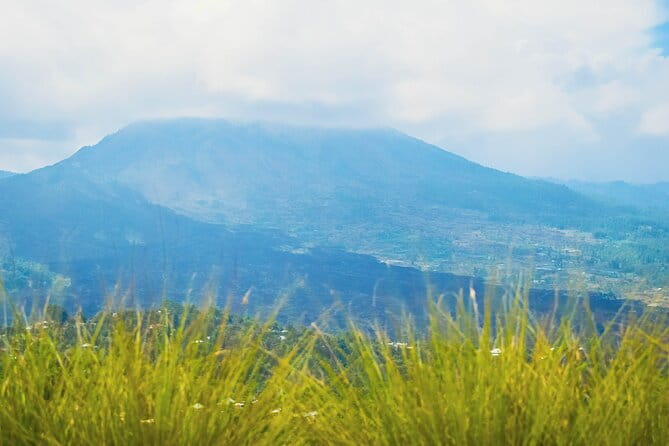 Highlight of Bali Tour - Penglipuran Village and the Bamboo Paths