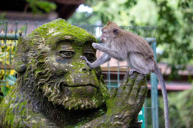 Highlights of Ubud & Mount Batur Volcano - Private Day Trip - Tirta Empul: Bali’s sacred spring in a busy setting