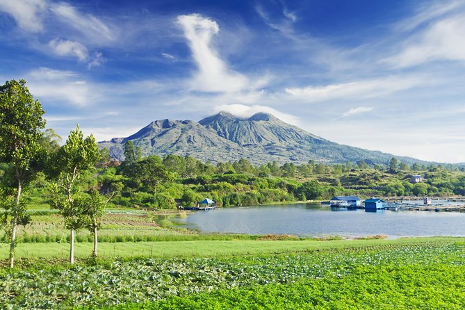 Highlights of Ubud & Mount Batur Volcano - Private Day Trip - Monkey Forest: close to macaques, not too close