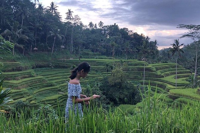 Hire Bali Driver for 10-hour (Bali as You Please) - North Bali, mountain air, and rice terraces
