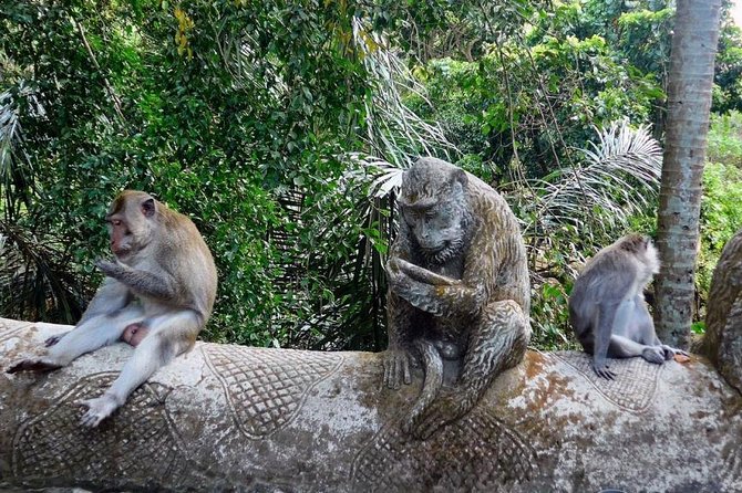 Hire Bali Driver for 10-hour (Bali as You Please) - Tanah Lot, markets, and flexible city stops