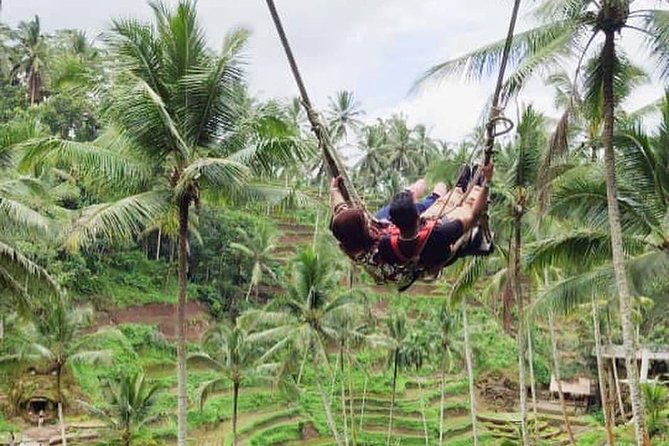 Hire Private Bali Driver - What the vehicle and included costs mean