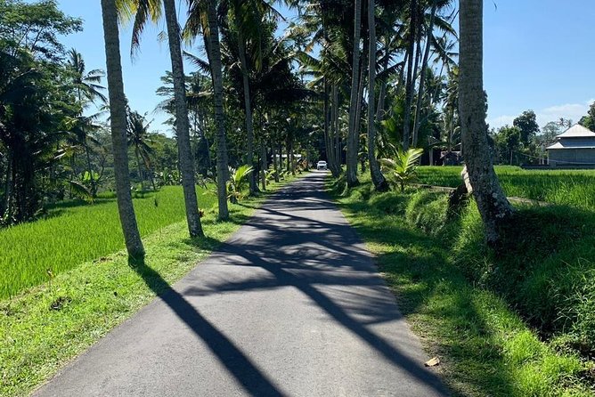Individual Bali Day Trip with Private Driver and Free WiFi - South Bali: Beaches, Cliffs, and Uluwatu