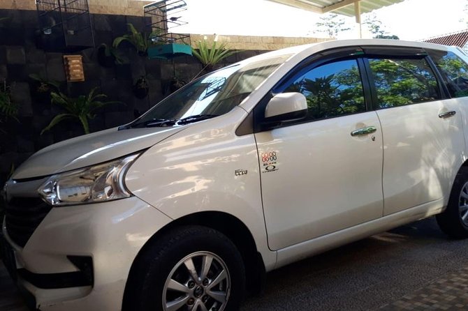 Individual Bali Day Trip with Private Driver and Free WiFi - Ubud’s Temples, Markets, and Rice Fields