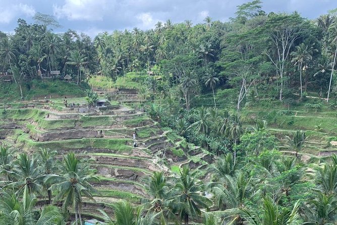 Individual Bali Day Trip with Private Driver and Free WiFi - Tanah Lot, Canggu, and the West Coast