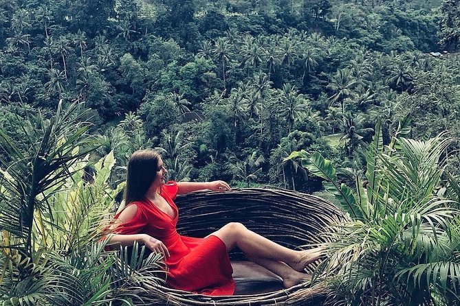 Individual Bali Day Trip with Private Driver and Free WiFi - North and East Bali Require Patience
