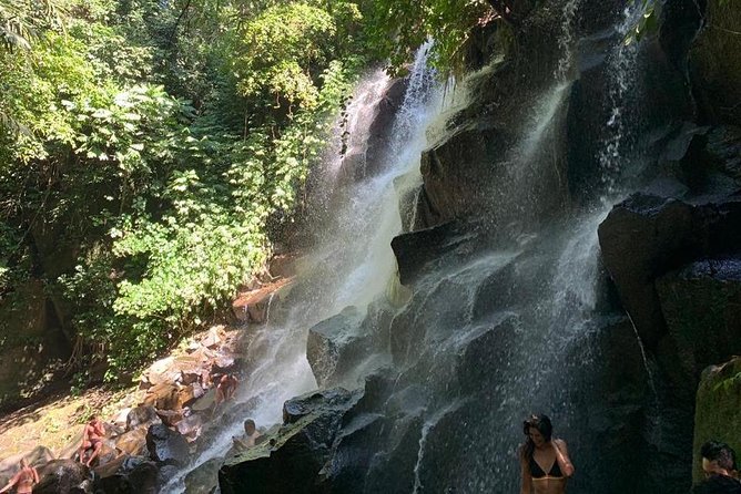Individual Bali Day Trip with Private Driver and Free WiFi - Your Driver May Be the Best Part of the Day