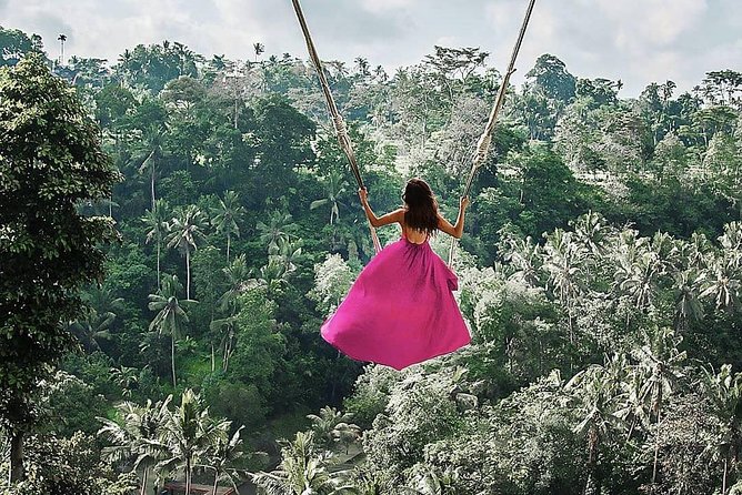 Individual Bali Day Trip with Private Driver and Free WiFi - How to Plan the 8-Hour Option