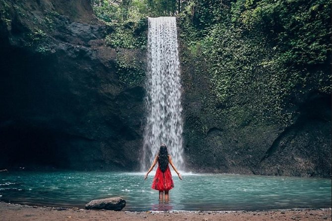 Individual Private Car Hire with English Speaking Chauffeur - Waterfalls and rice terraces around Ubud