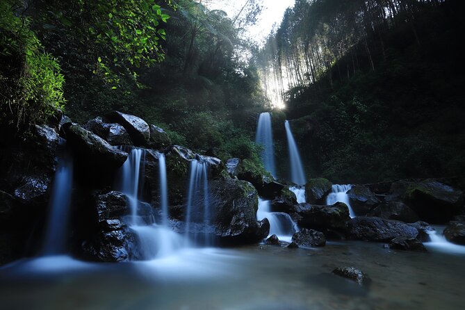 Indonesia Escape (Yogyakarta) - Your driver can help when you have no plan