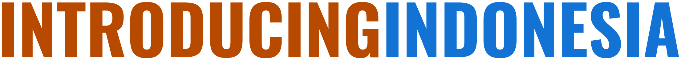 Introducing Indonesia