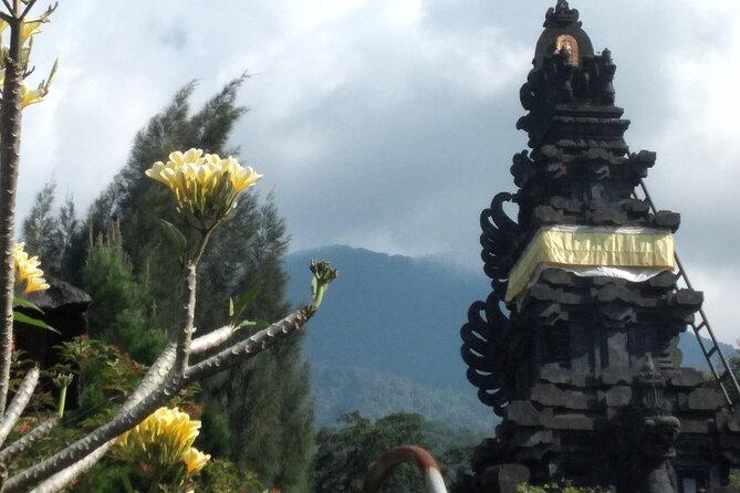 Jakarta Bogor Botanical Garden, Waterfall and Rice terrace, Lunch - Leaving Jakarta for cooler Bogor