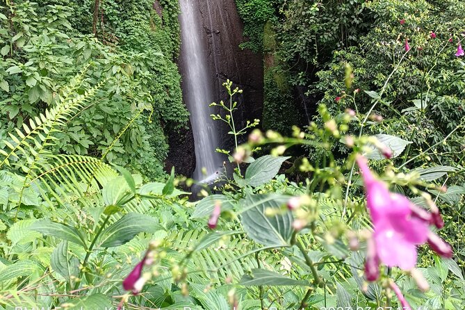 Jakarta Bogor Botanical Garden, Waterfall and Rice terrace, Lunch - Guides who make the route work