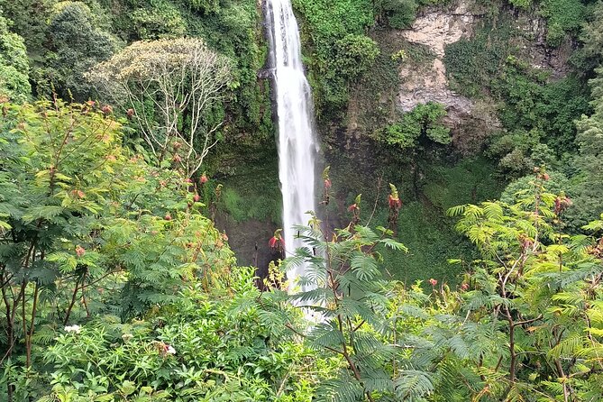 Jakarta Bogor Botanical Garden, Waterfall and Rice terrace, Lunch - A Sundanese lunch with Salak Mountain views