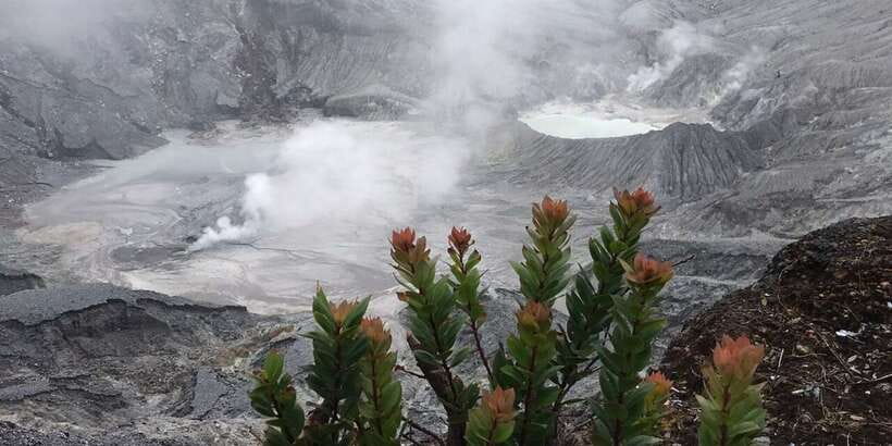 Jakarta: Volcano, Tea/Rice Fields, Hot Spring, Local Food - Why this Java day trip works