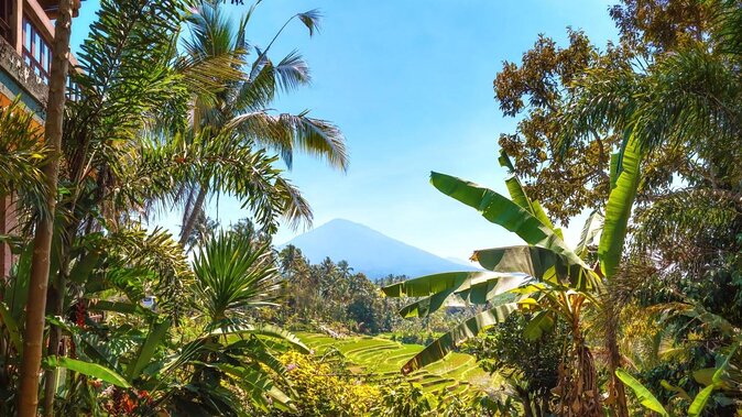 Jatiluwih Batukaru Mountain Nature's Best Tour - The Details That Matter Most