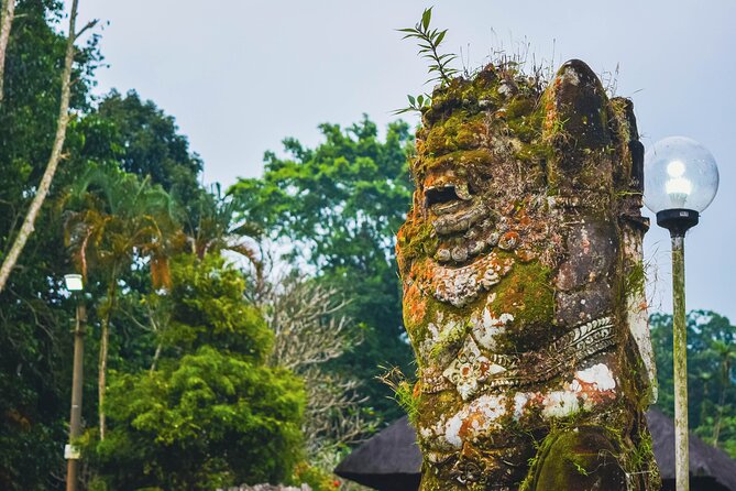 Jatiluwih Batukaru Mountain Nature's Best Tour - Guides Make the Difference