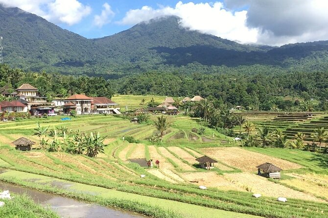 Jatiluwih Batukaru Mountain Nature's Best Tour - Practical Details Before You Book
