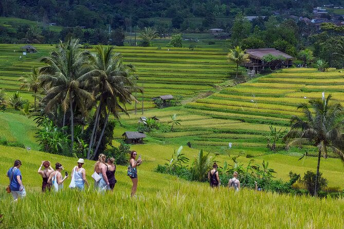 Jatiluwih Spiritual Journey of Melukat with Rice Terrace View - The Melukat ceremony at Pura Kedatuan Raksa Sidhi