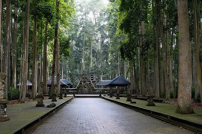 Jatiluwih Spiritual Journey of Melukat with Rice Terrace View - Baturiti coffee adds a lighter stop