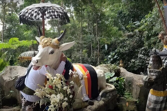 Jatiluwih Spiritual Journey of Melukat with Rice Terrace View - Guides, photos, and the human side of the trip