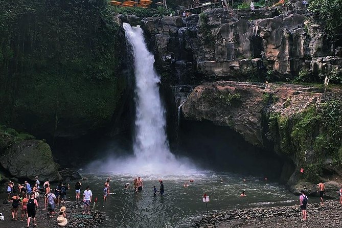 Jungle Swing - Volcano - Water Temple - Monkey Forest and Waterfall Tour - What This Private Bali Day Is Really Like