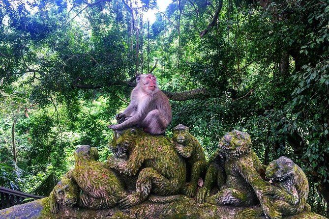 Jungle Swing - Volcano - Water Temple - Monkey Forest and Waterfall Tour - Kintamani Highland and Mount Batur Views