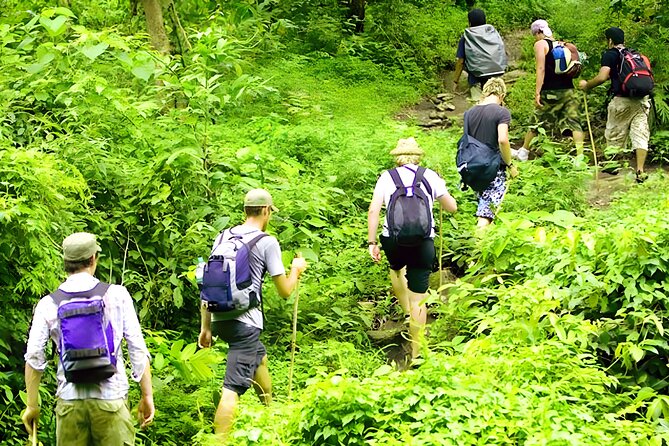 Jungle Trekking and Tamblingan Lake Canoeing in Bali Rainforest - The morning transfer from Seminyak and south Bali